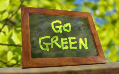 The Future of Laundry: Why Detergent Sheets Are a Must-Try for Eco-Conscious Shoppers